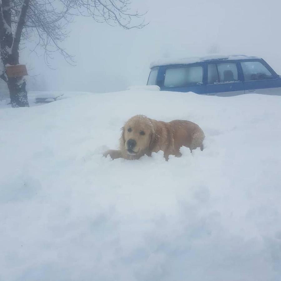 Chalet Lagorai Roncegno Kültér fotó